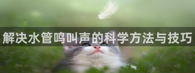 天辰娱乐平台地址在哪里