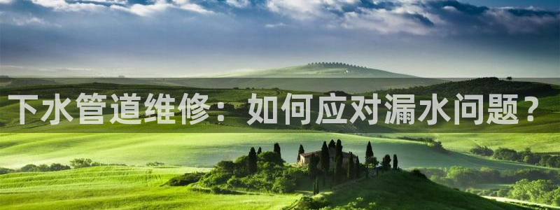 天辰娱乐输了