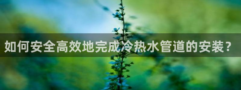 天辰娱乐主管