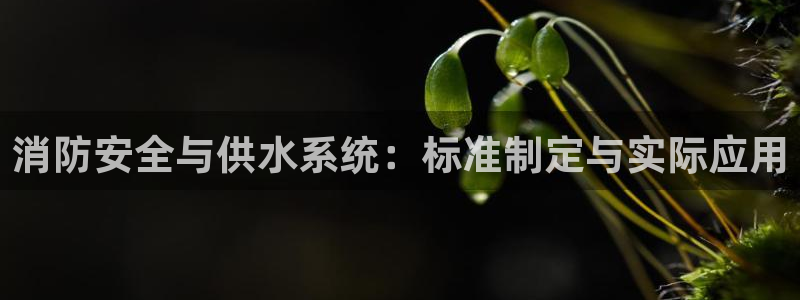 集宁天辰娱乐