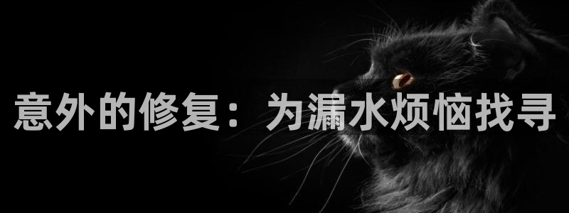 天辰娱乐总管年薪