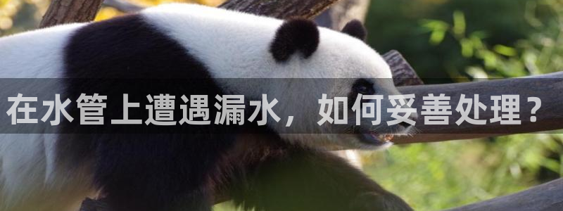 天辰娱乐平台入口