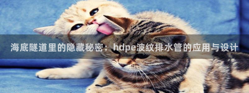 天辰娱乐老板