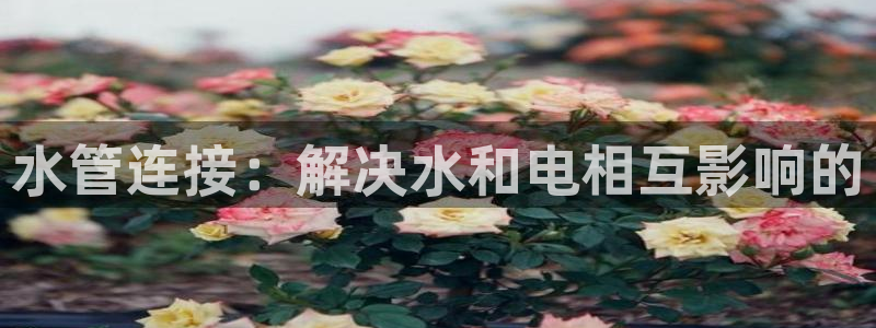 天辰娱乐tff