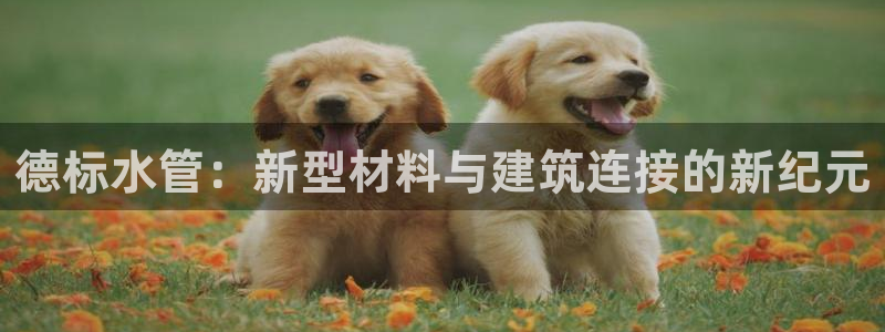 天辰娱乐扣钱
