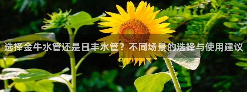 天辰辰娱乐代理