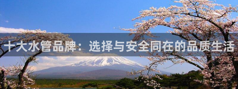 天辰天辰娱乐