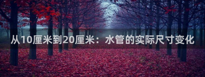 天辰娱乐平台入口