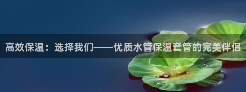 天辰娱乐84566