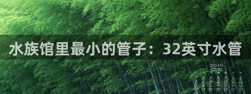 天辰娱乐公司