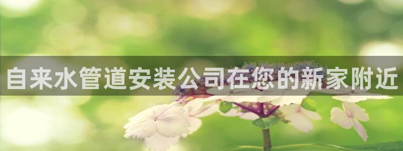 天辰娱乐APP下载