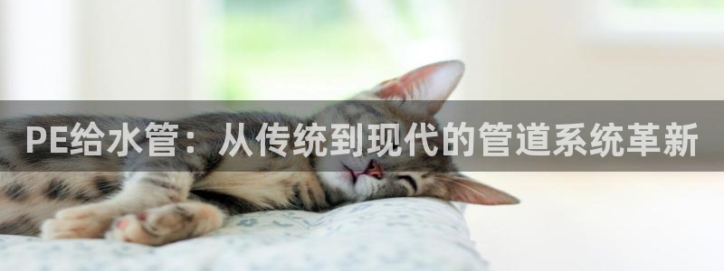 天辰娱乐电话