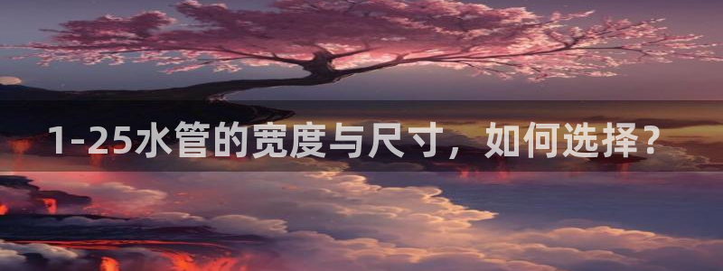 天辰娱乐所