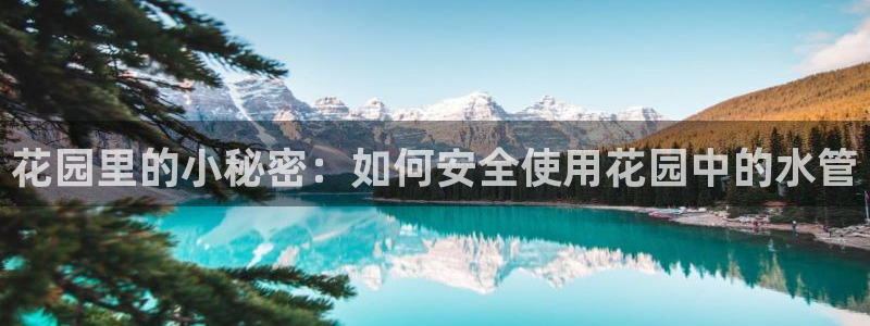 天辰娱乐53551