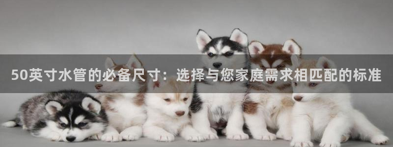 天辰娱乐 231639