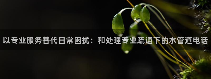 天辰娱乐2