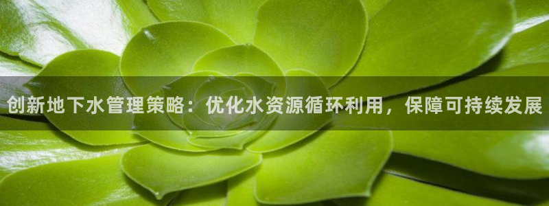 天辰娱乐小姐