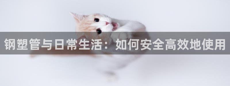 天辰娱乐10086