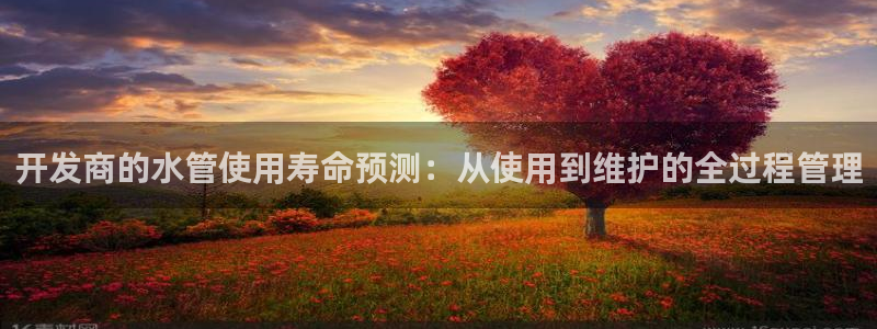 天辰娱乐下载链接