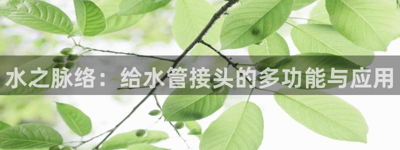 天辰娱乐新