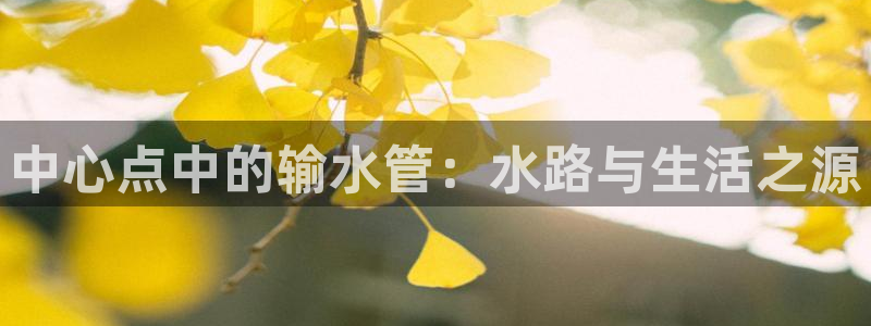 天辰娱乐tff