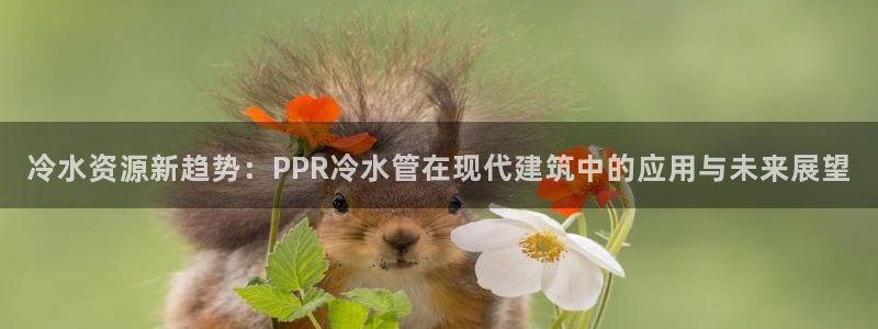 天辰娱乐网