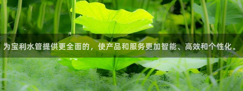 手机上怎么下载天辰娱乐