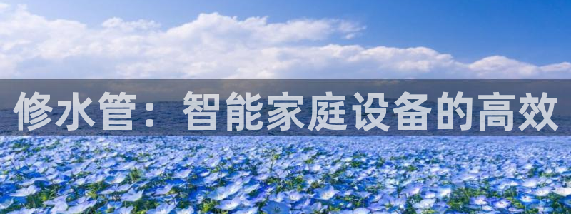 天辰团队贝高娱乐