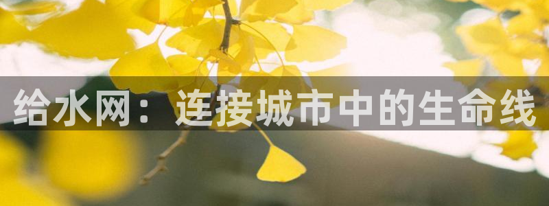 天辰娱乐 . 鱼刺