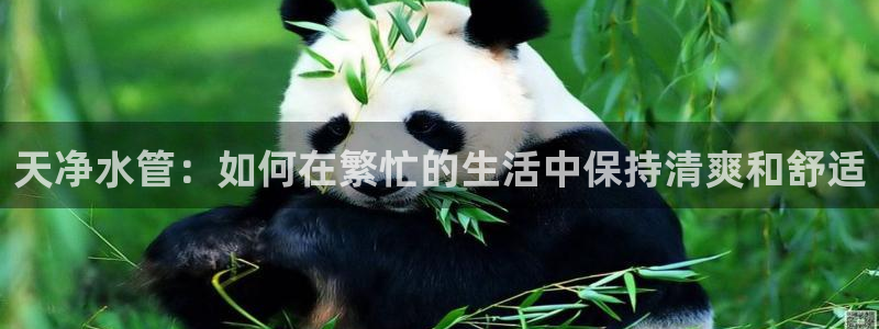 天富娱乐与天辰娱乐