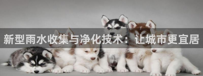 天辰娱乐官方网