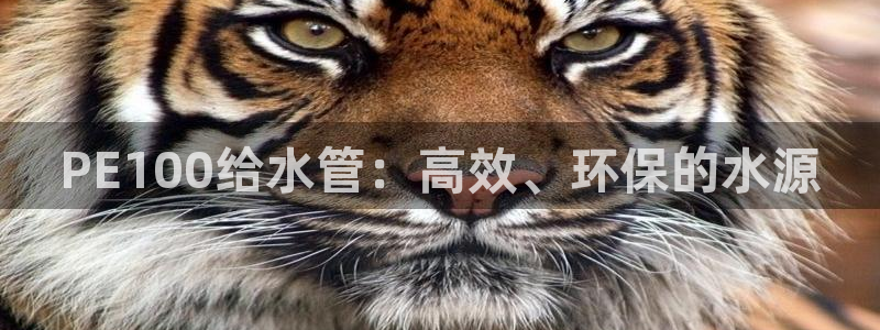 天辰娱乐 . 鱼刺